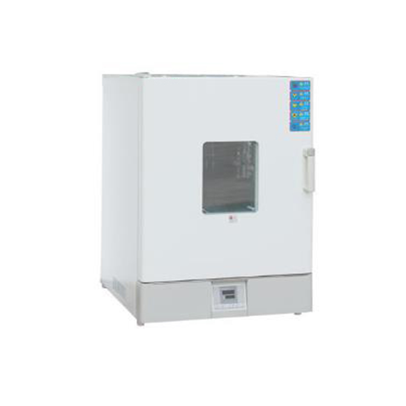 LT-WJB31 Cuptor de uscare a temperaturii constante